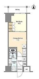 AZURETERRACE東陽町 1DKの間取図画像