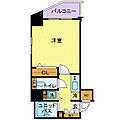 トーシンフェニックス川崎9階8.8万円