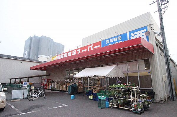 画像10:業務用食品スーパー　東雲店