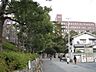 周辺：【大学】私立甲南大学岡本キャンパスまで552ｍ