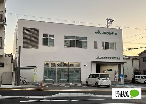 画像24:銀行「JAわかやま雑賀支店まで498m」