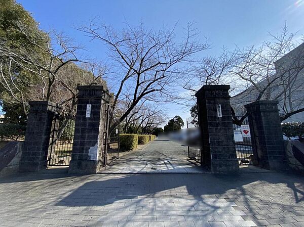 周辺を拡大表示