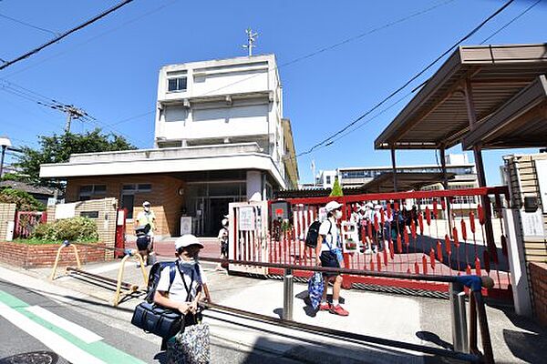 画像28:【小学校】堺市立浜寺小学校まで235ｍ