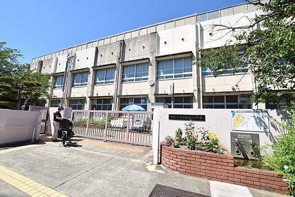 画像24:【小学校】堺市立浜寺昭和小学校まで685ｍ
