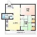 レジデンス麻里布5階3.9万円