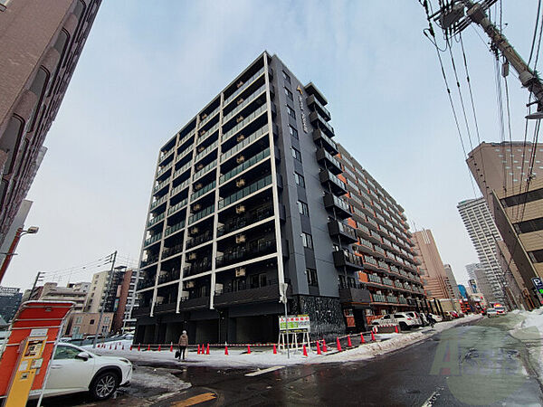 北海道札幌市中央区南八条西6丁目(賃貸マンション2LDK・9階・49.44㎡)の写真 その1