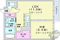ルヌアージュ新道東5階6.4万円