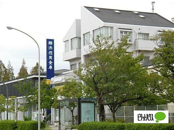 画像7:銀行「横浜信用金庫新本牧支店まで1396m」