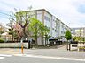 周辺：小学校 1200m 茅ヶ崎市立柳島小学校