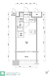 エンクレスト博多駅南GRACE 7階/-