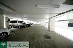 8 / 8