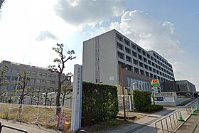 仮称）岸和田市磯上町新築アパート 103 ｜ 大阪府岸和田市磯上町1丁目262-2（賃貸アパート1K・1階・31.09㎡） その14