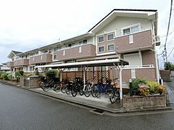ソフトリー1