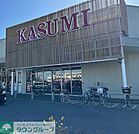 カスミフードスクエアフレスポ桶川坂田店 徒歩7分。 540m