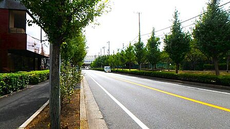 前面道路