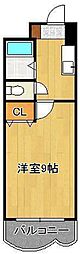 ロイヤルトレンディ 8階/-