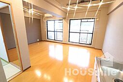 JR徳島線 蔵本駅 徒歩14分の賃貸マンション 4階2LDKの室内