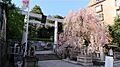 乃木神社、距離...