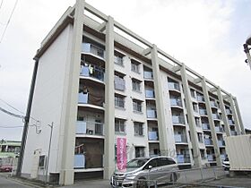 長浜ミラクルステアーズ 402 ｜ 滋賀県長浜市八幡東町（賃貸マンション2LDK・2階・53.83㎡） その12