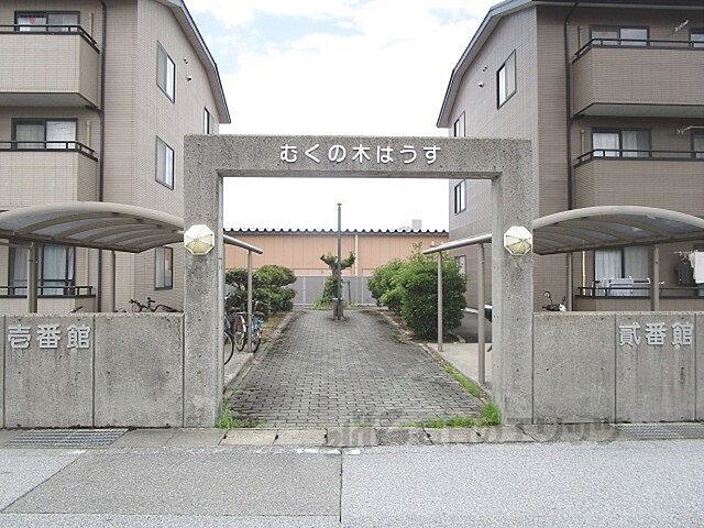 6 / 15