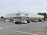 周辺：ゲンキー野田店（390m）