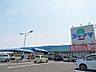 周辺：ドラッグスギヤマ　形原店（590m）