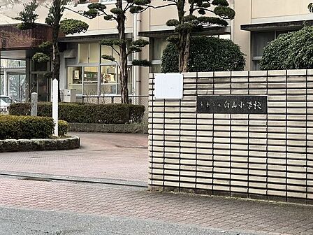 白山小学校【白山小学校】 500m