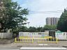 周辺：武小学校（500m）
