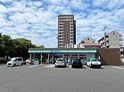ファミリーマート小松原中央店（230m）