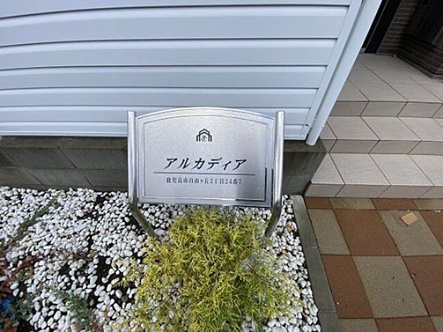 6 / 9