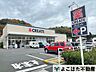 周辺：クリエイトエス・ディー川崎神木本町店 徒歩9分。 660m