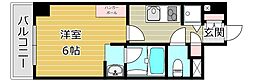 ミオーラ高槻 5階/516