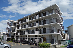 JR東海道・山陽本線 近江八幡駅 徒歩9分の賃貸マンション