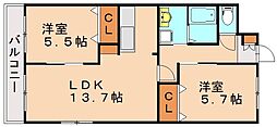 ファイングレイス梅の木