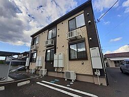 アシェイドサクラ