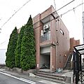 フリージア
