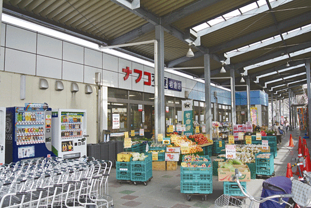 スーパー「ナフコ不二屋岩倉店まで383ｍ」
