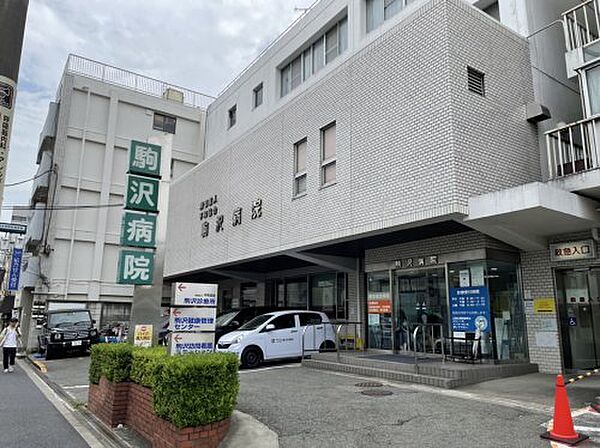 画像29:【総合病院】駒沢病院まで277ｍ
