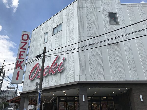 画像10:【スーパー】オオゼキ 経堂店まで590ｍ
