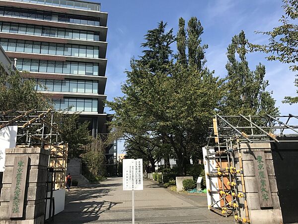 東京都世田谷区桜3丁目(賃貸マンション1K・1階・26.25㎡)の写真 その13