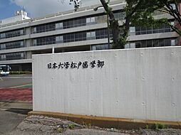 【大学】私立日本大学松戸歯学部まで1784ｍ