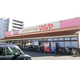 メグリオ新松戸  ｜ 千葉県松戸市新松戸7丁目（賃貸アパート1K・3階・25.23㎡） その16