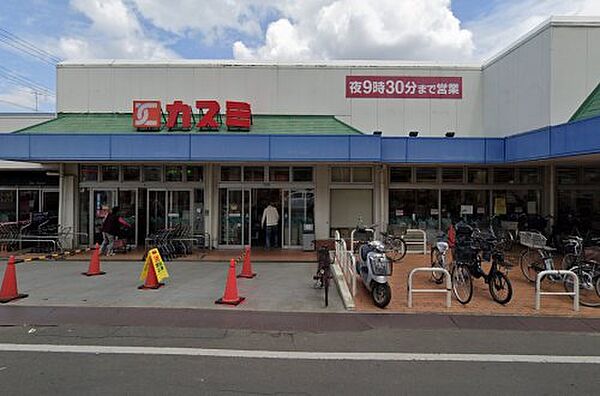 画像28:【スーパー】KASUMI(カスミ) 湖北店まで415ｍ