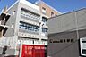 周辺：世田谷区立桜小学校 520m
