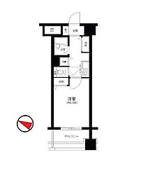 メインステージ赤坂II 11階1Kの間取り