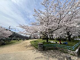 大阪府大阪市阿倍野区阪南町7丁目（賃貸マンション1LDK・4階・40.00㎡） その25