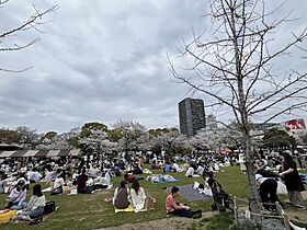 大阪府大阪市天王寺区堀越町（賃貸マンション1K・2階・22.00㎡） その30