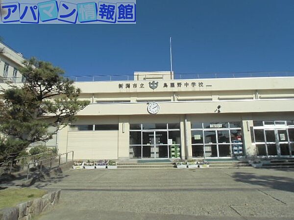 画像19:新潟市立鳥屋野中学校 684m