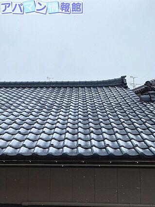 ハイドリーム_その他_3