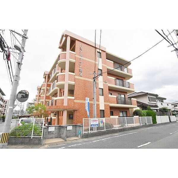 ハミングタウン室見 202｜福岡県福岡市早良区南庄６丁目(賃貸マンション3DK・2階・61.00㎡)の写真 その1